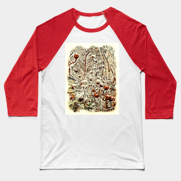 Ice glazed branches Baseball T-Shirt by PandLCreations